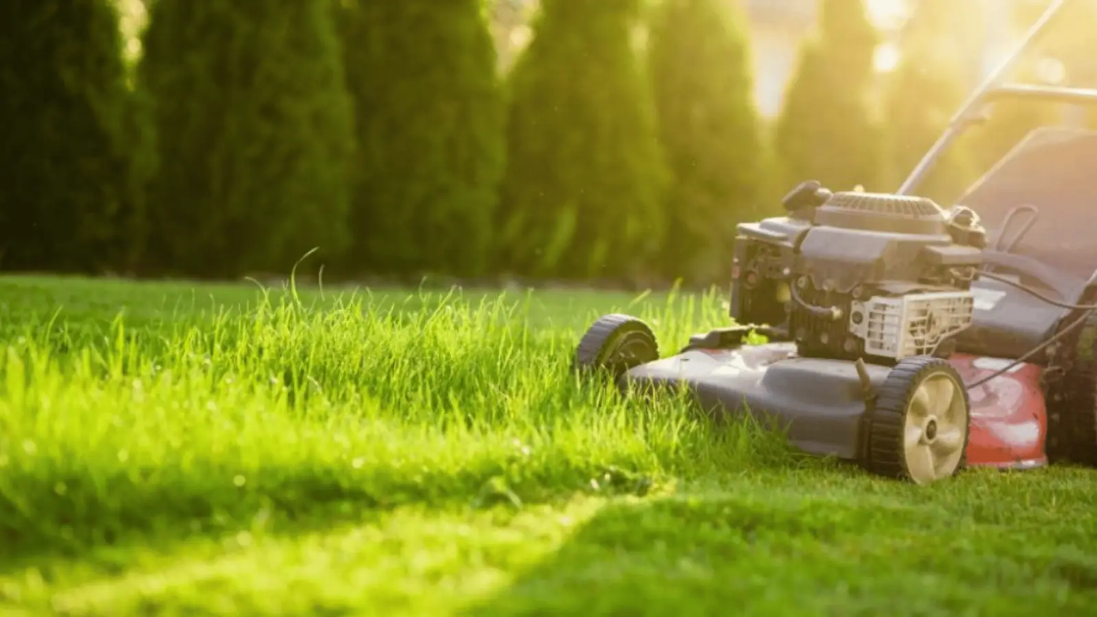 MDA Services — lawn care in Balaclava